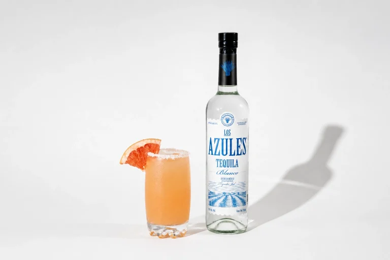 Bebida-paloma