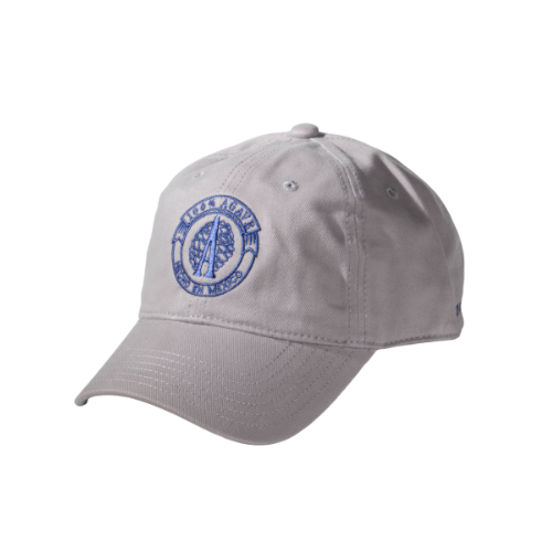 producto-gorra-bc Gorra Bordada Los Azules - Image 1